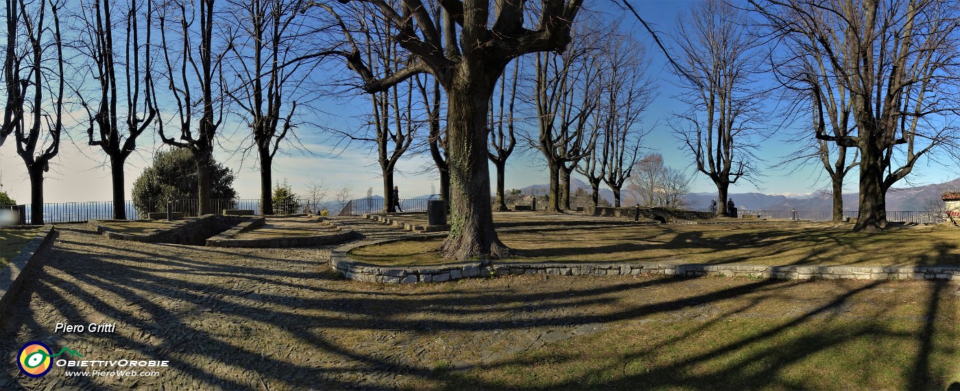 03 Al Parco del Castello di San Vigilio piante secolari.jpg